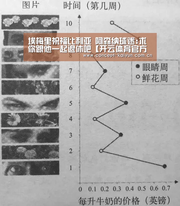 埃梅里祝福比利亚 阿森纳球迷:求你跟他一起退休吧【开云体育官