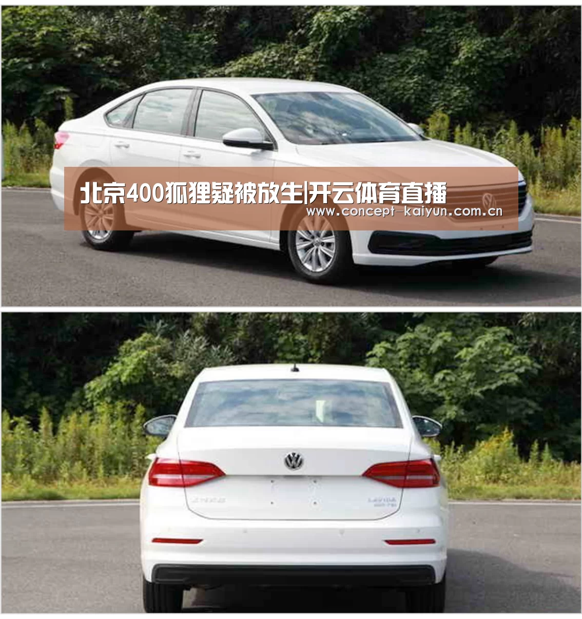 北京400狐狸疑被放生|开云体育直播