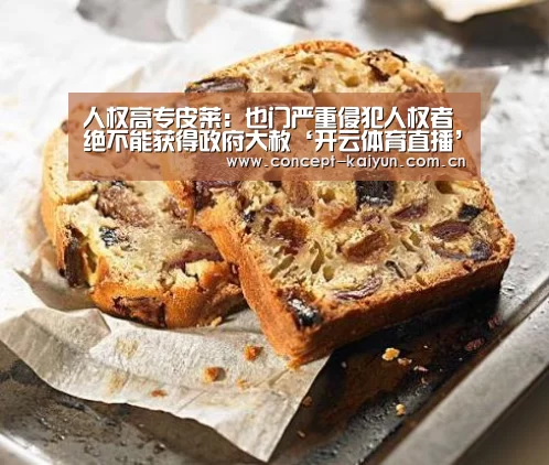 人权高专皮莱：也门严重侵犯人权者绝不能获得政府大赦‘开云体育