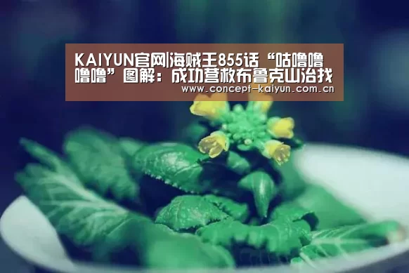KAIYUN官网|海贼王855话“咕噜噜噜噜”图解：成功营救