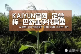 KAIYUN官网-足总杯-巴舒亚伊托莫里破门 切尔西2-1赫
