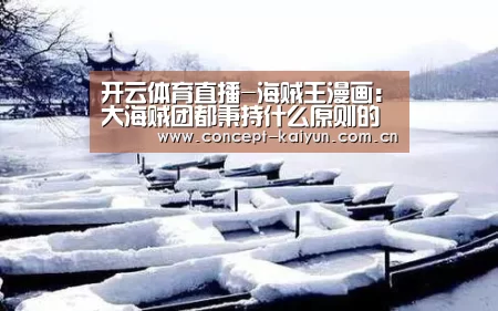 开云体育直播-海贼王漫画：大海贼团都秉持什么原则的队魂