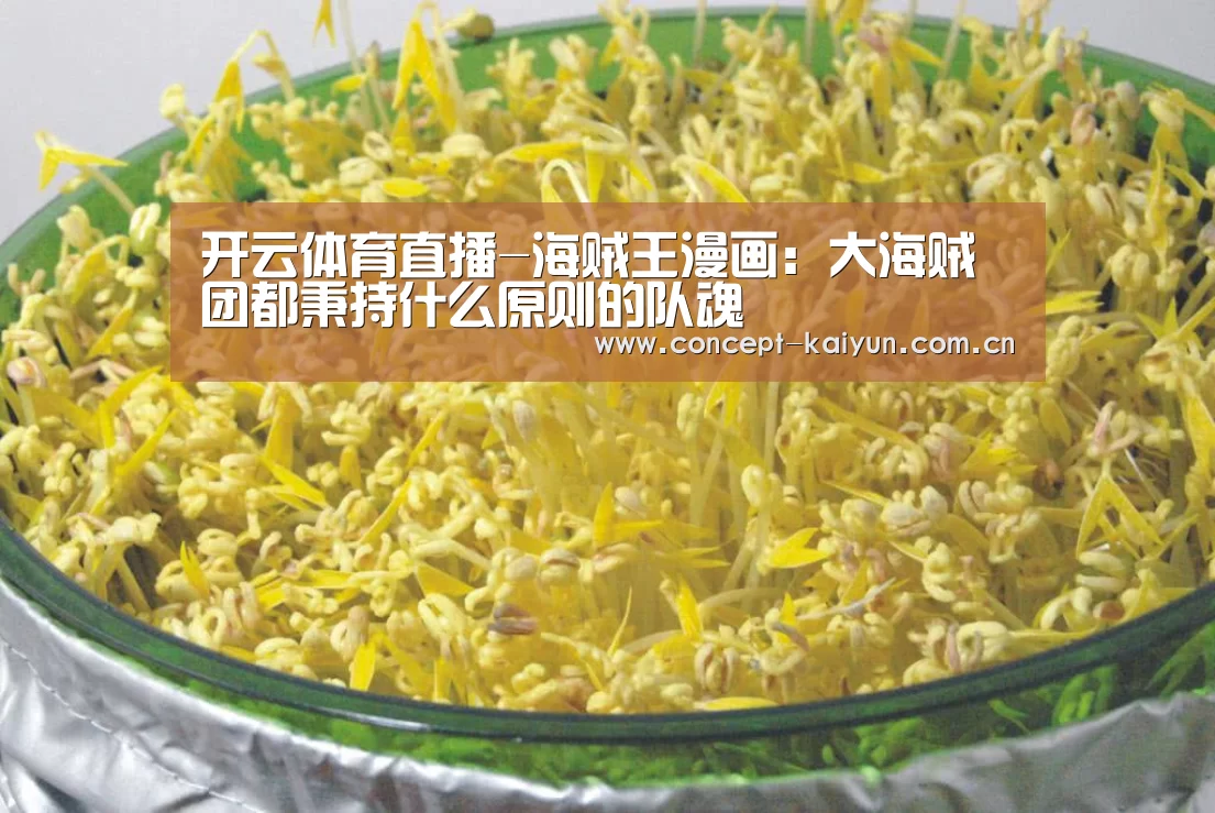 开云体育直播-海贼王漫画:大海贼团都秉持什么原则的队魂(图4) KAIYUN官网