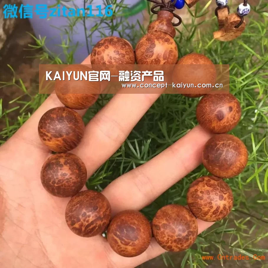 KAIYUN官网-融资产品(图2) 开云赛事