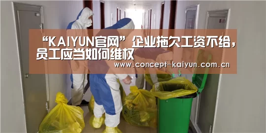 开云体育官方入口