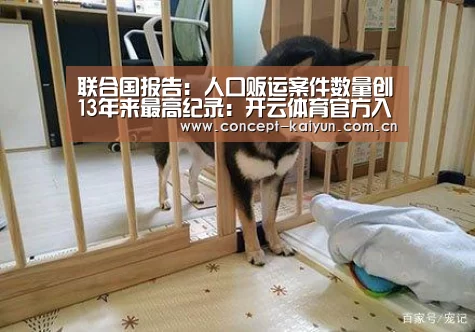 联合国报告: 人口贩运案件数量创13年来最高纪录：开云体育官