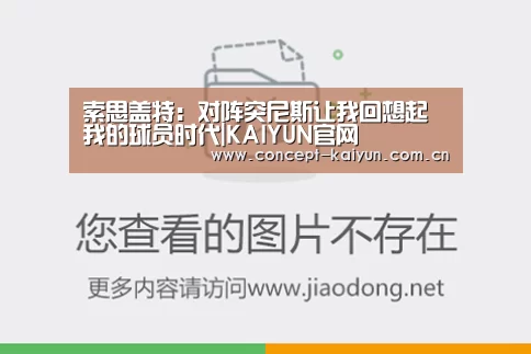 开云体育直播
