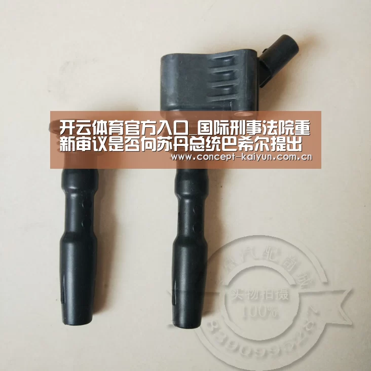 开云体育官方入口_国际刑事法院重新审议是否向苏丹总统巴希尔提