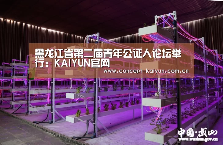黑龙江省第二届青年公证人论坛举行：KAIYUN官网