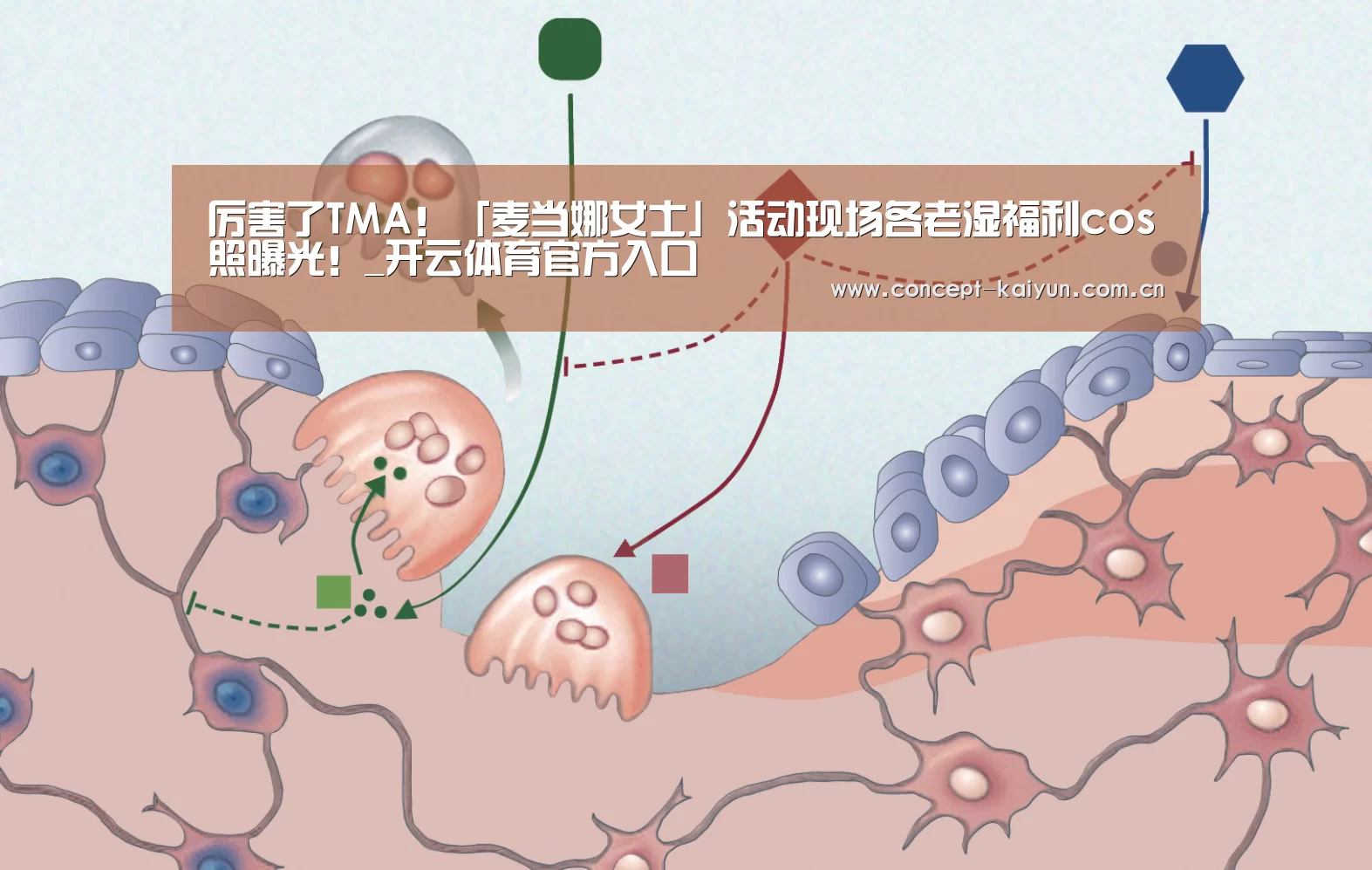 厉害了TMA!「麦当娜女士」活动现场各老湿福利cos照曝光!_开云体育官方入口(图3) 开云体育直播