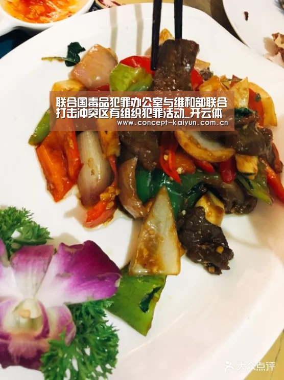 联合国毒品犯罪办公室与维和部联合打击冲突区有组织犯罪活动_开