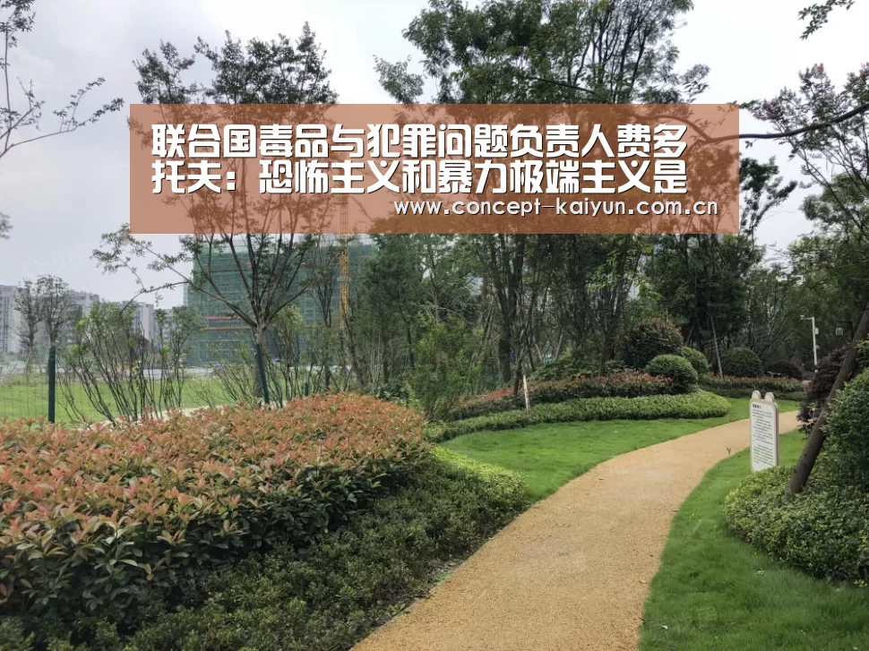 联合国毒品与犯罪问题负责人费多托夫：恐怖主义和暴力极端主义是
