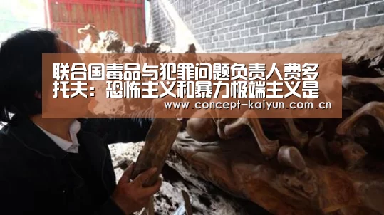 联合国毒品与犯罪问题负责人费多托夫:恐怖主义和暴力极端主义是世界所面临的主要挑战-开云赛事(图4) 开云体育直播