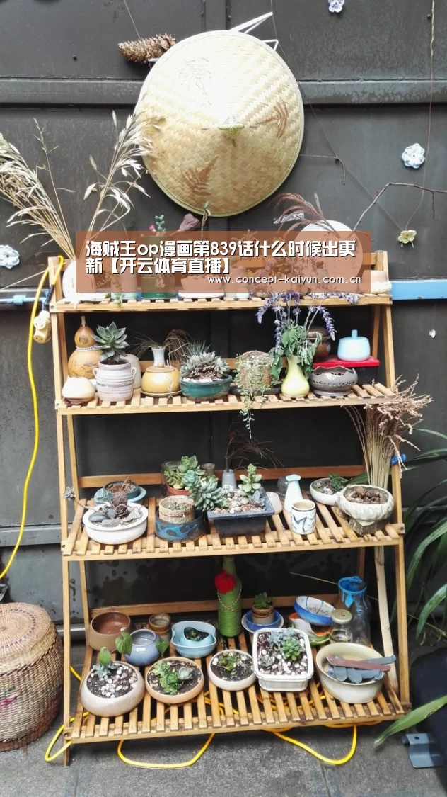 开云体育官方入口