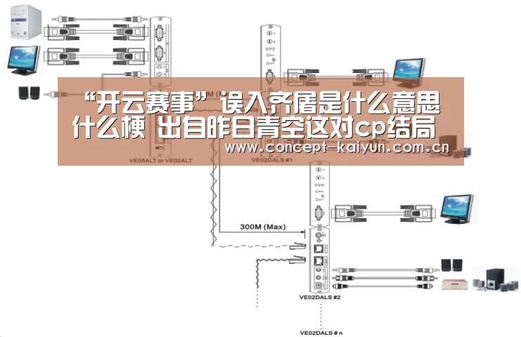 “开云赛事”误入齐屠是什么意思什么梗 出自昨日青空这对cp结局(图2) 开云体育直播